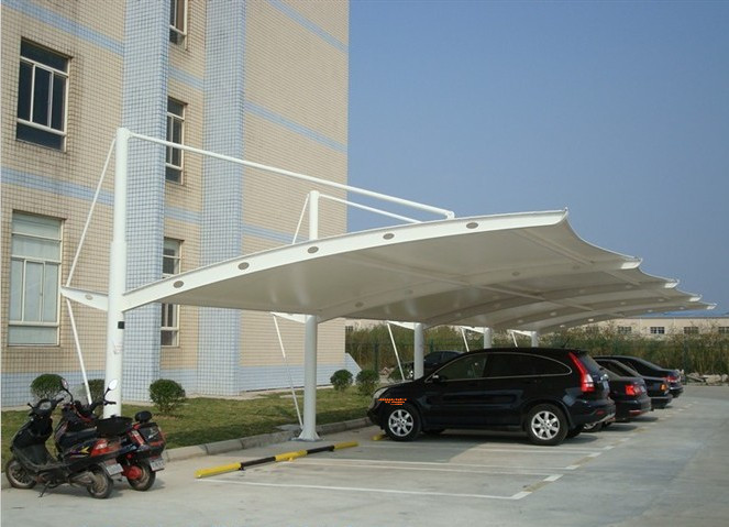 1534325352501967.jpg 1 (24).jpg