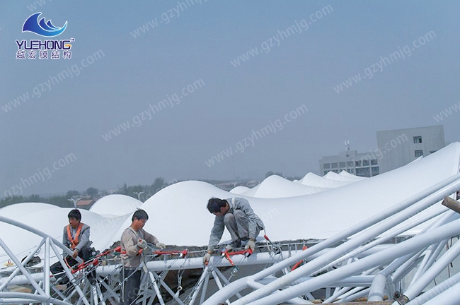 1582364473246865.jpg 1 (1).jpg