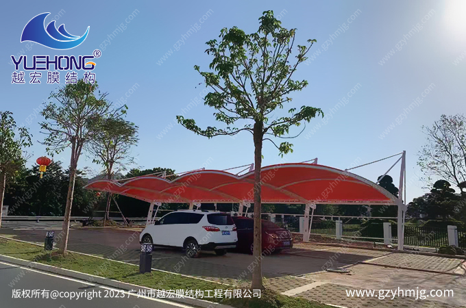 1689232202485120.jpg 圖1.jpg